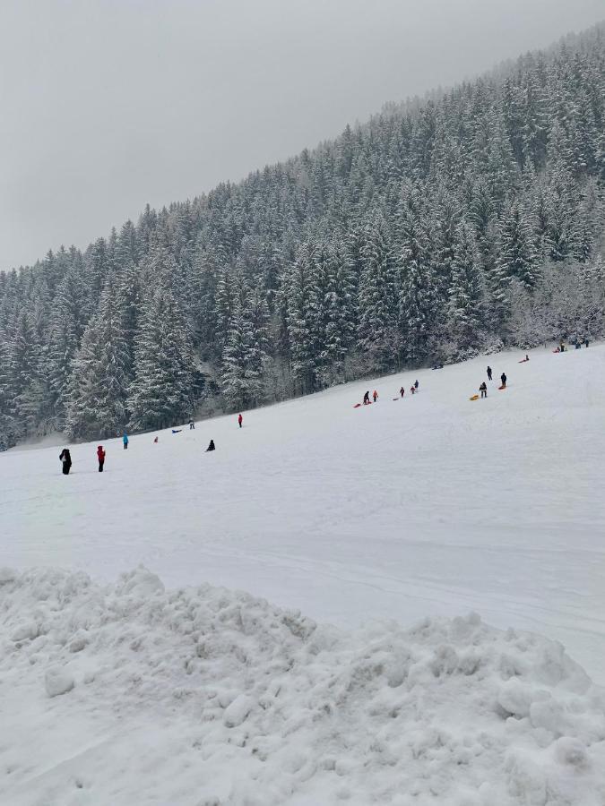 Cima De' Piazzi Apartment Isolaccia Dış mekan fotoğraf
